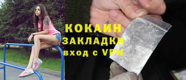 твердый Арсеньев