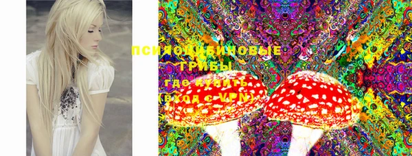 твердый Арсеньев